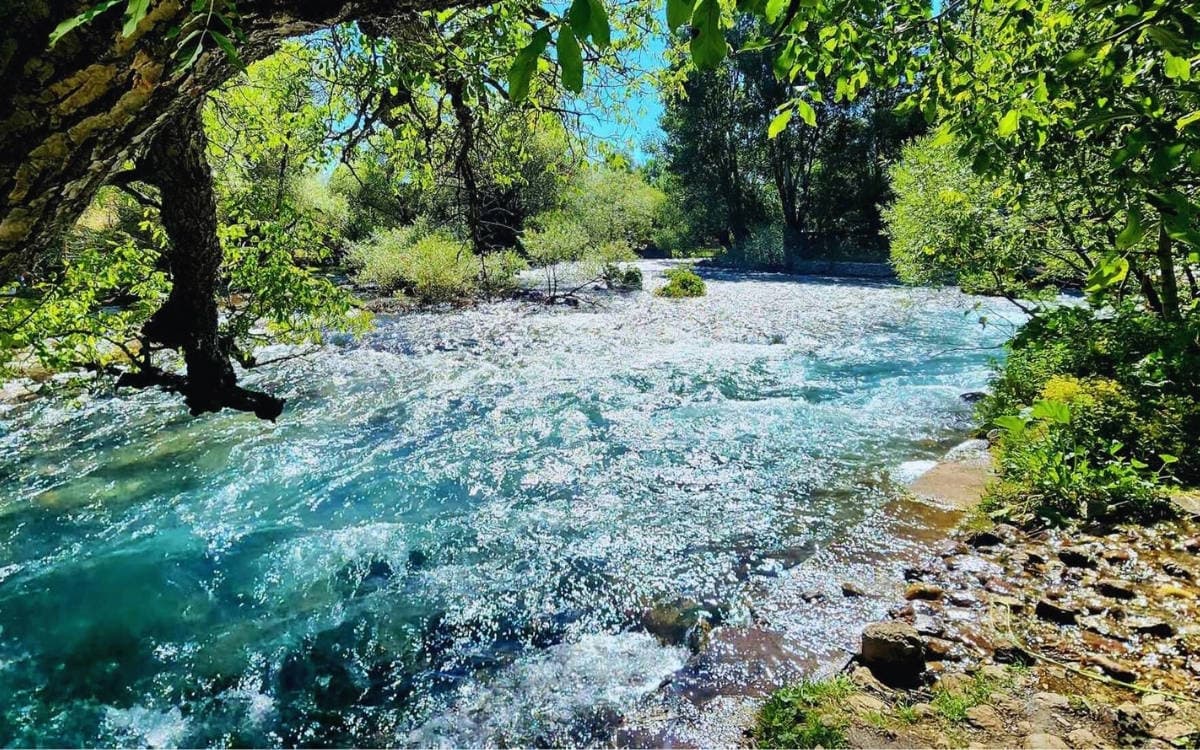 Munzur Gözeleri için tam koruma talebi